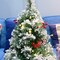 Mini Christmas Pine Tree Indoor Tabletop (	White,red) 13.78"D x 13.78"W x 21.65"H